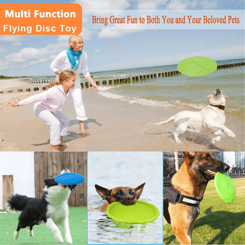 Woman and dog playing with a green flying disc on a beach, with additional images of dogs with discs in different settings.
