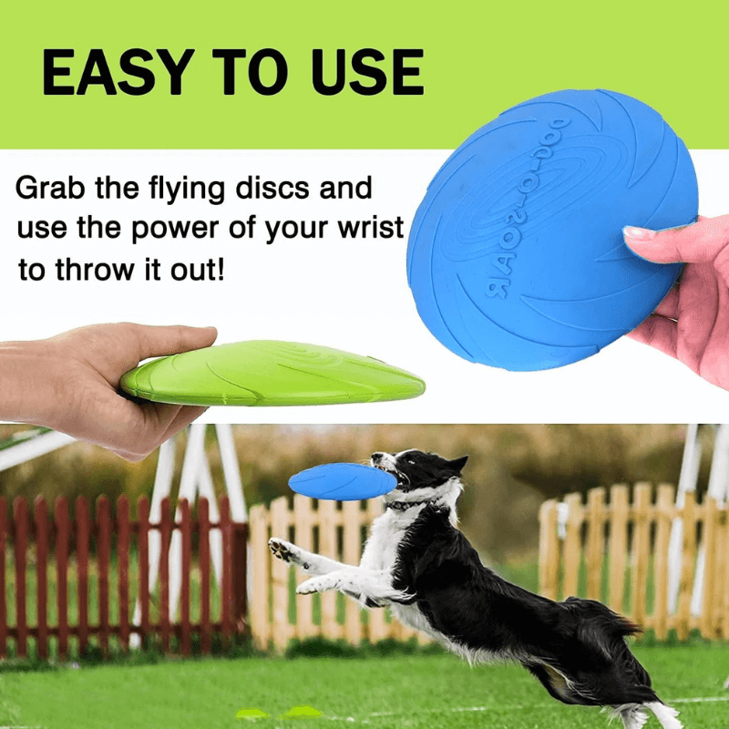 Two flying discs, one green and one blue, held by hands with text on a green background. A dog is also shown catching a blue disc outdoors.