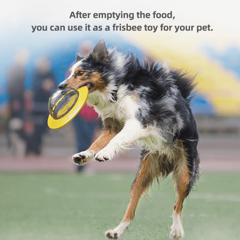 Interactive Treat Dispensing Dog Ball™