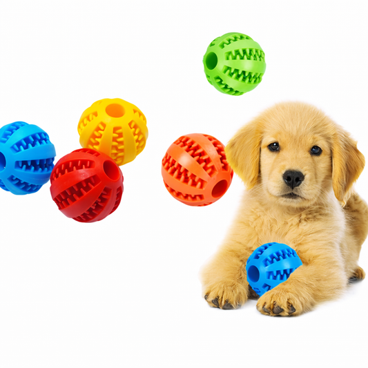 ChewBuddy Ball ™