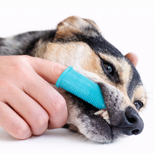 PawBrush ™