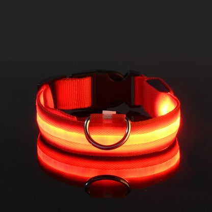 GlowPaws Leash ™
