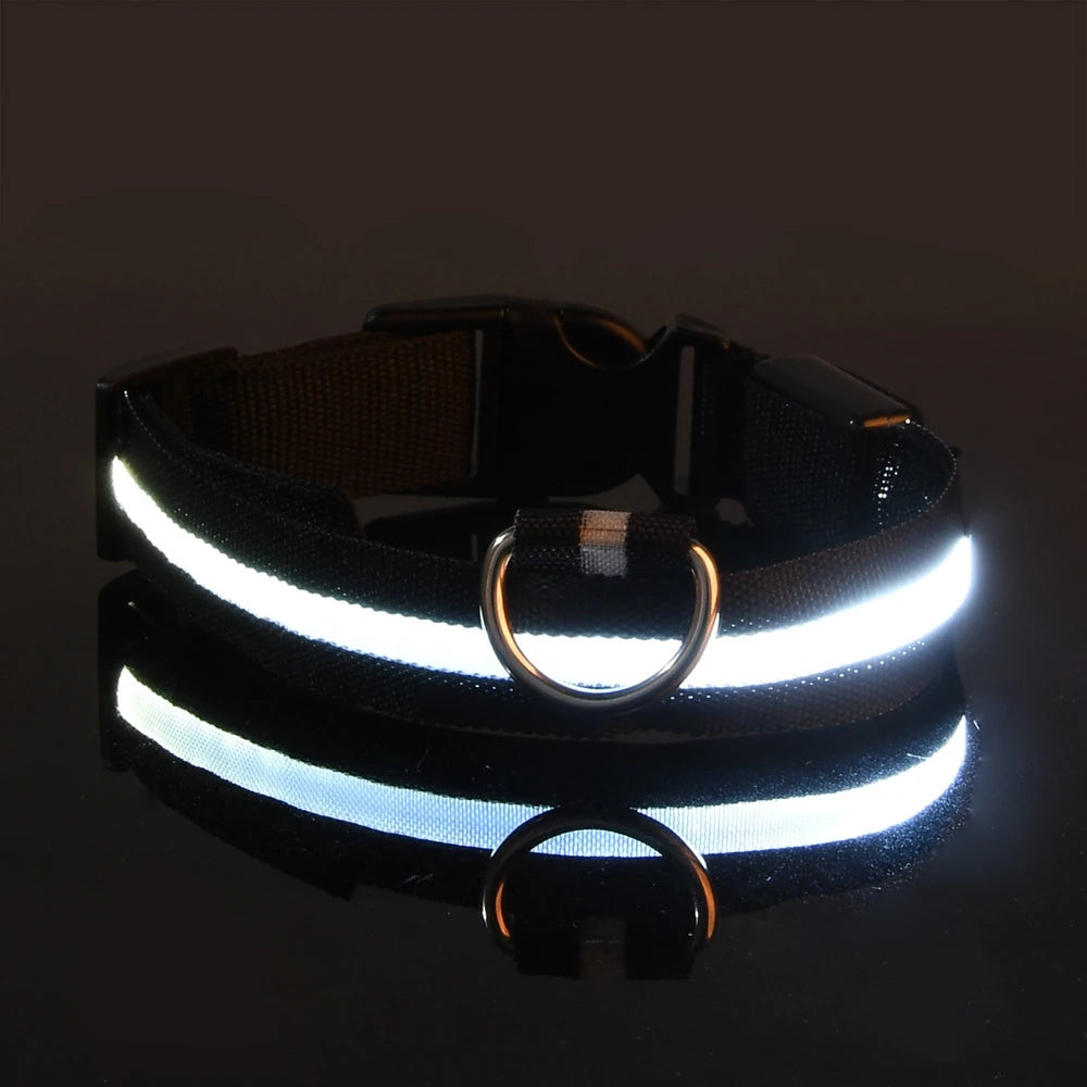 GlowPaws Leash ™
