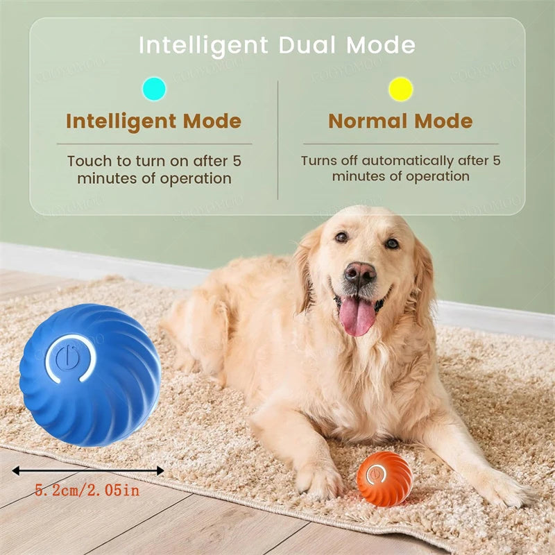 PawZoom Toy ™