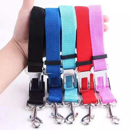 SafePaws Belt ™