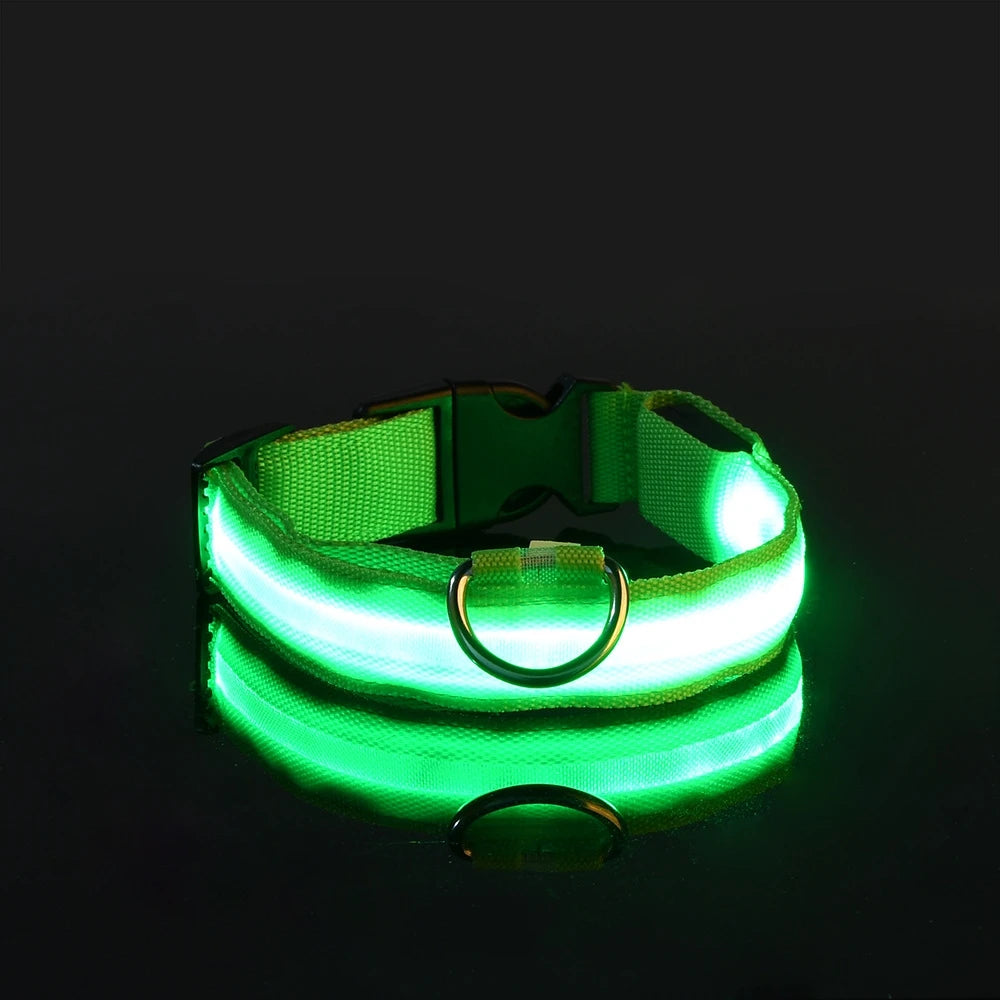 GlowPaws Leash ™