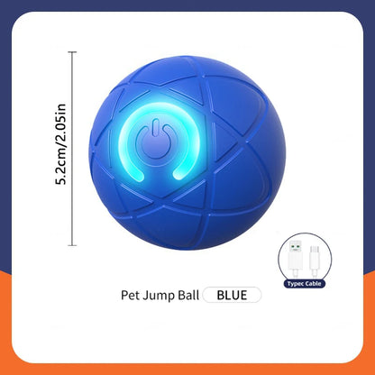 PawZoom Toy ™