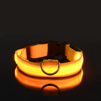 GlowPaws Leash ™