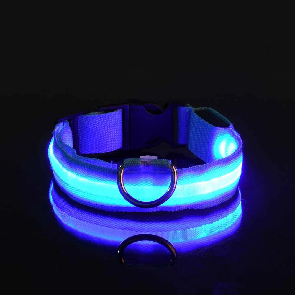 GlowPaws Leash ™