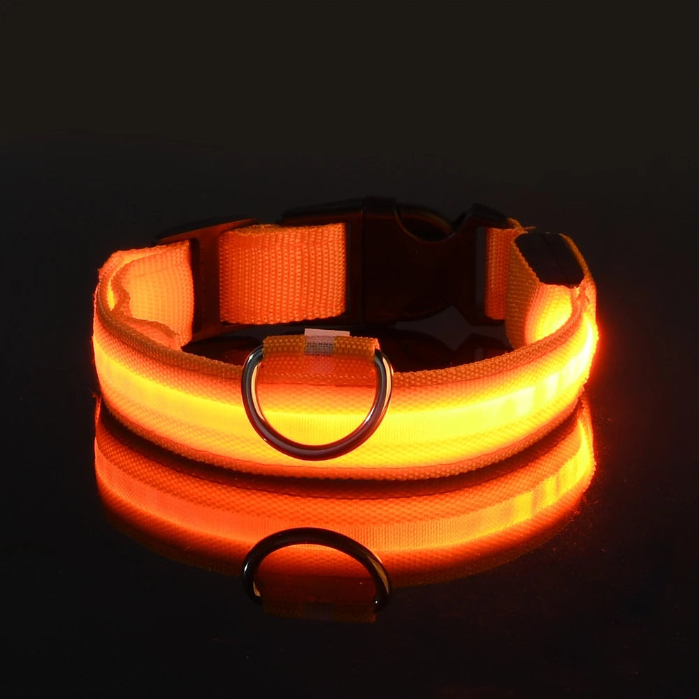 GlowPaws Leash ™