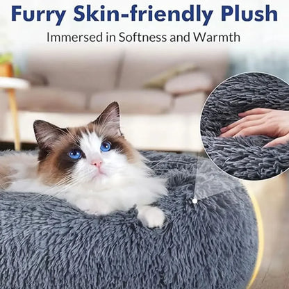DreamPaws Bed ™