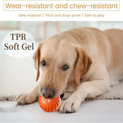 PawZoom Toy ™