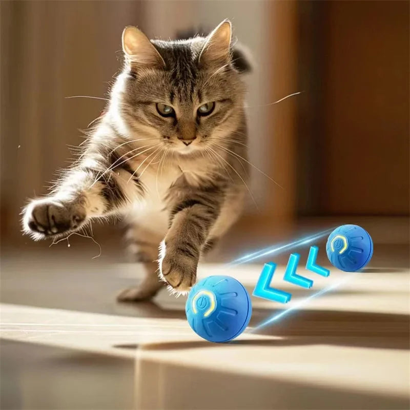 PawZoom Toy ™