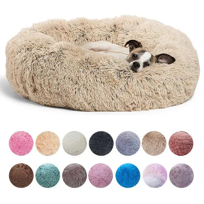 DreamPaws Bed ™