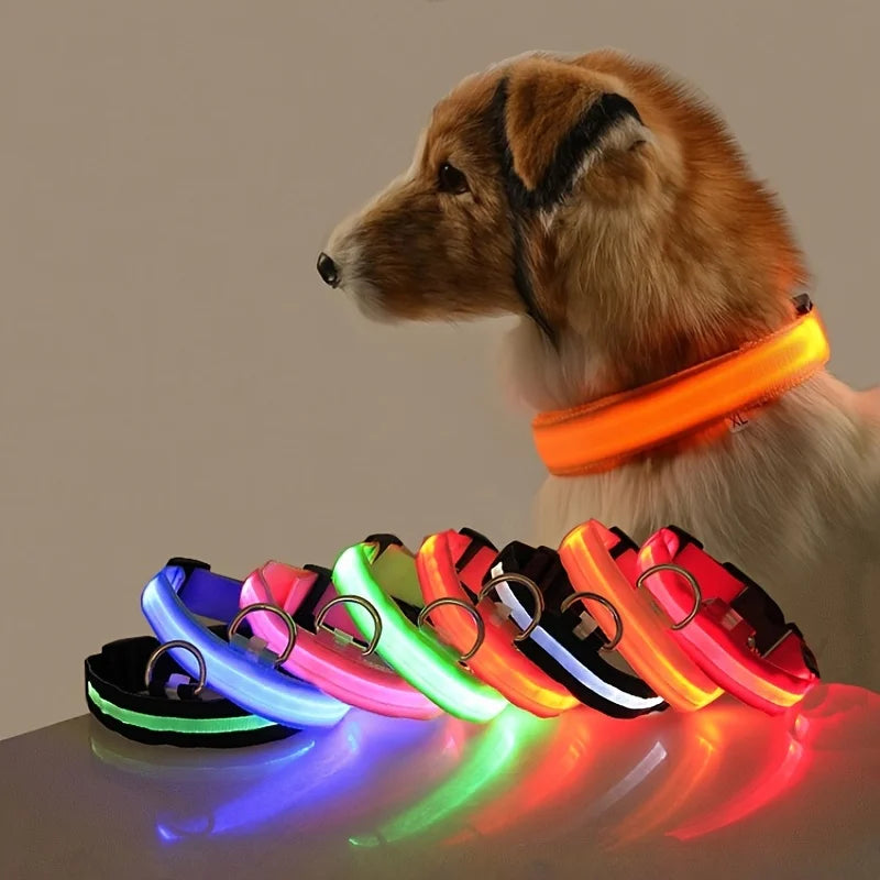 GlowPaws Leash ™