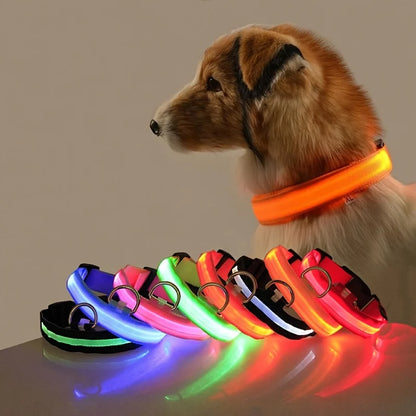GlowPaws Leash ™