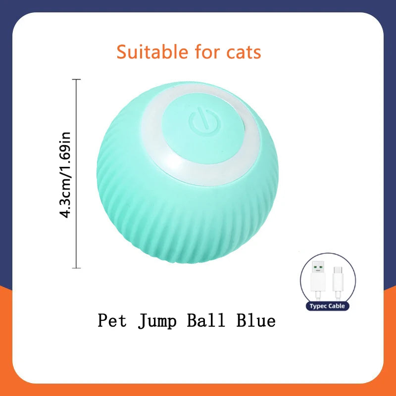 PawZoom Toy ™