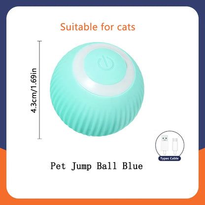 PawZoom Toy ™