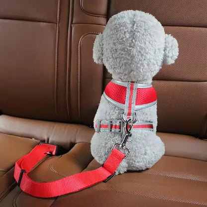 SafePaws Belt ™