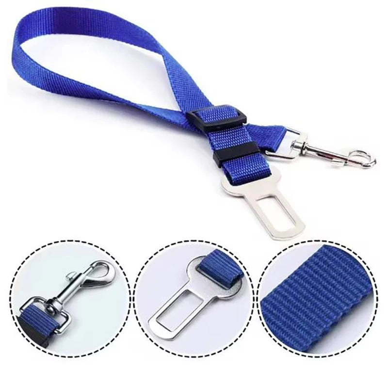 SafePaws Belt ™