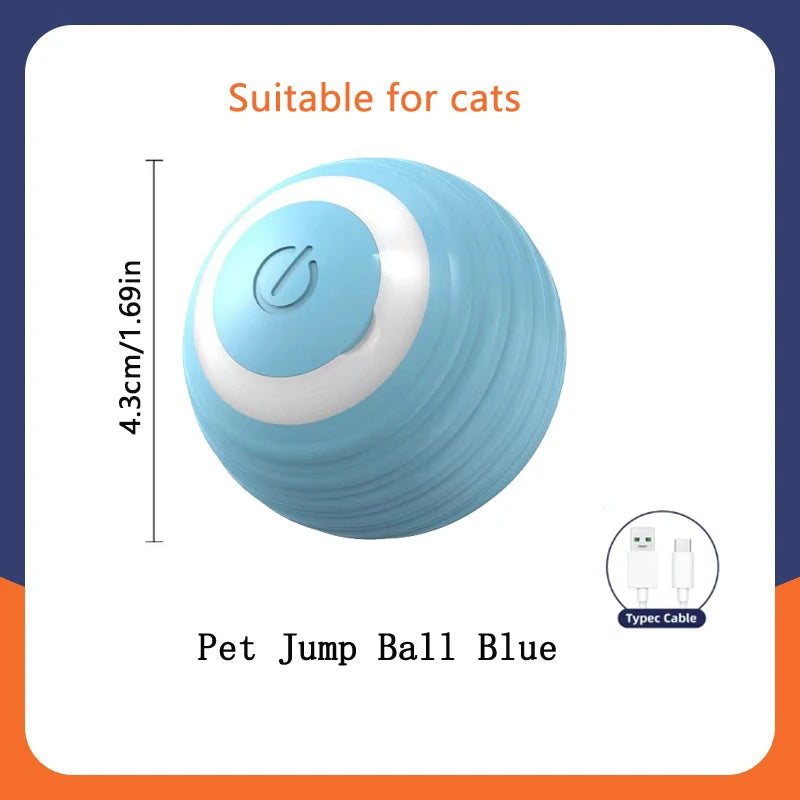 PawZoom Toy ™
