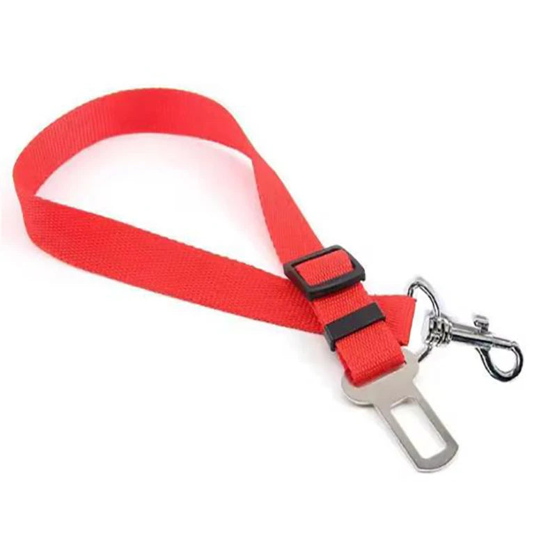 SafePaws Belt ™