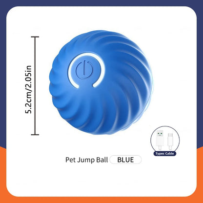 PawZoom Toy ™