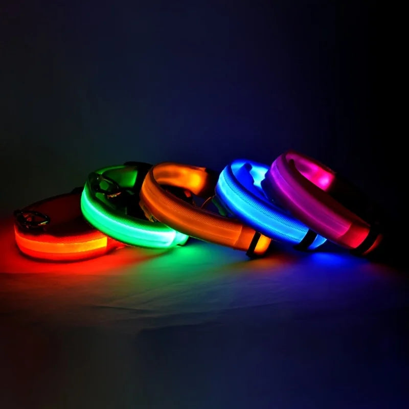 GlowPaws Leash ™
