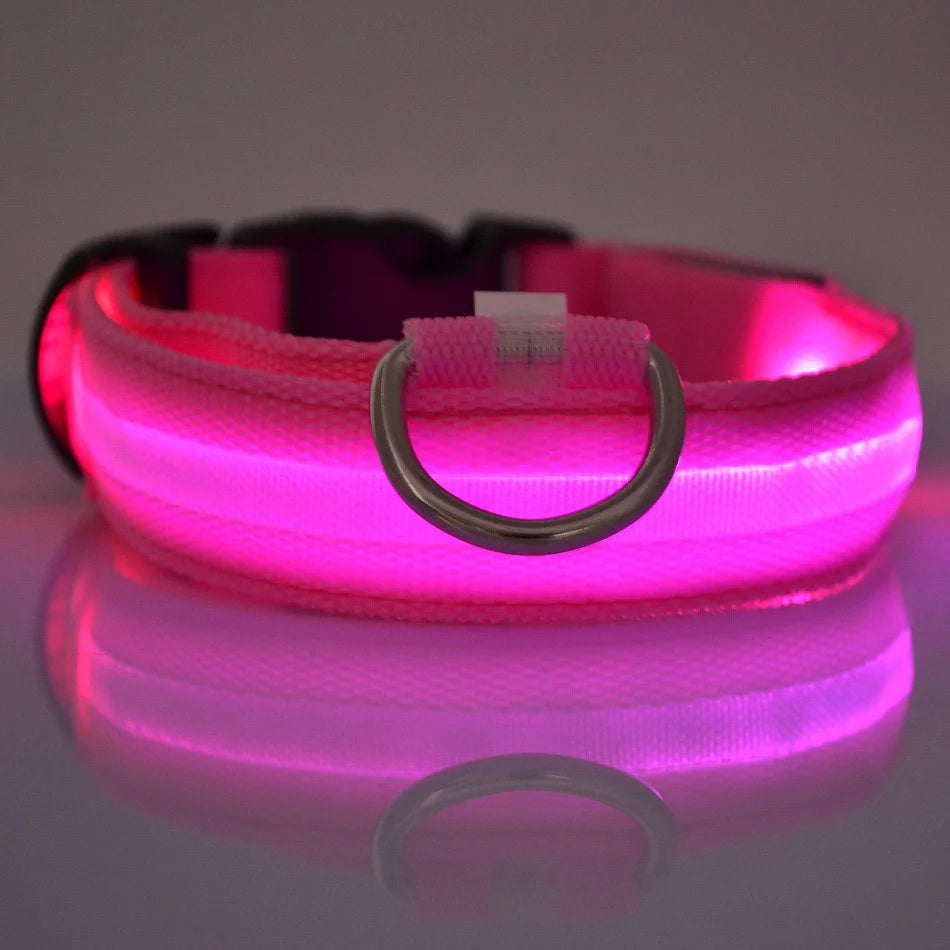 GlowPaws Leash ™