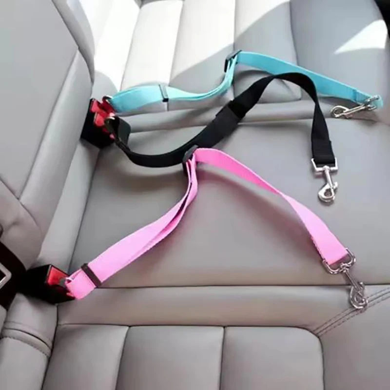SafePaws Belt ™