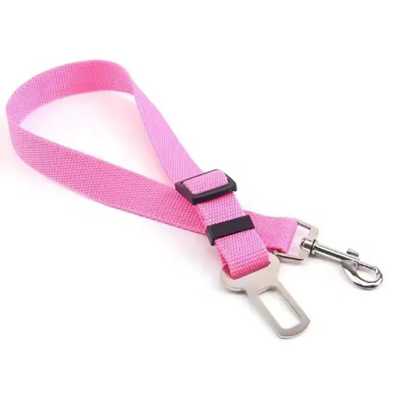 SafePaws Belt ™