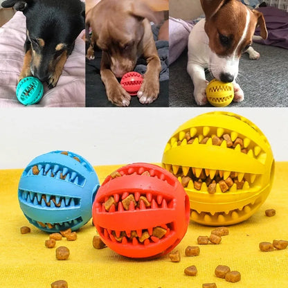 ChewBuddy Ball ™