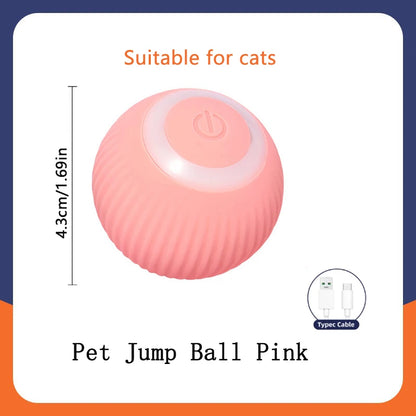 PawZoom Toy ™