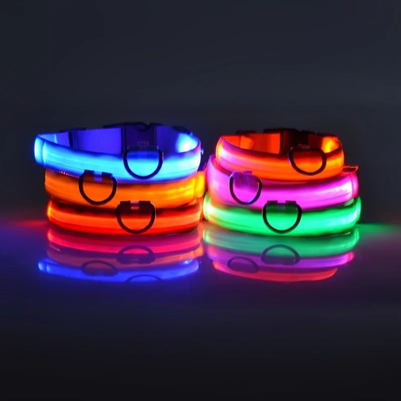 GlowPaws Leash ™