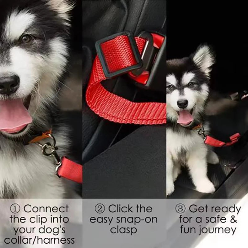 SafePaws Belt ™