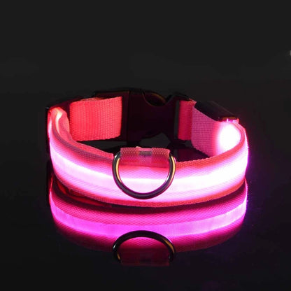 GlowPaws Leash ™
