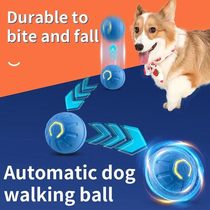 PawZoom Toy ™