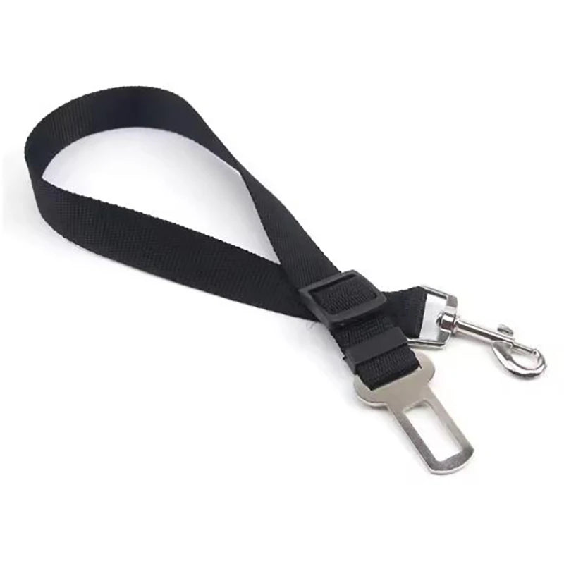 SafePaws Belt ™