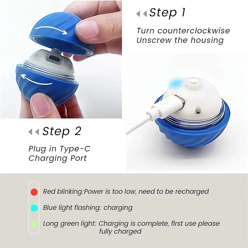 PawZoom Toy ™