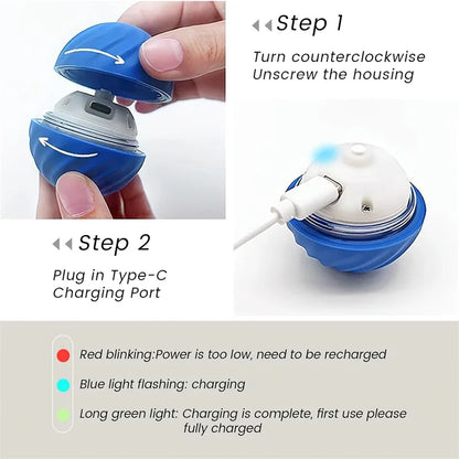 PawZoom Toy ™