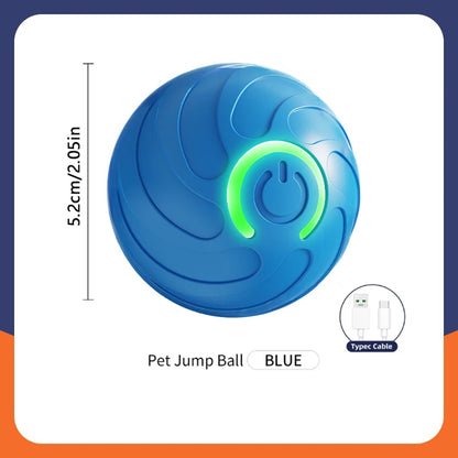 PawZoom Toy ™