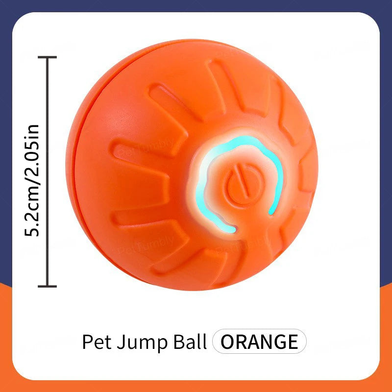 PawZoom Toy ™
