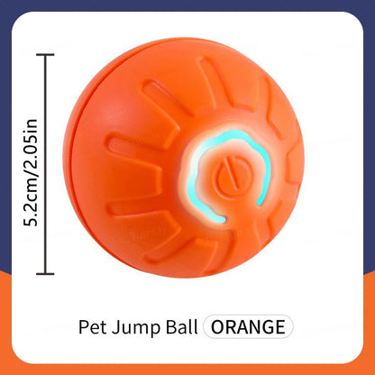 PawZoom Toy ™