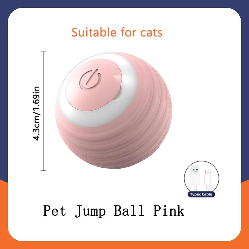 PawZoom Toy ™