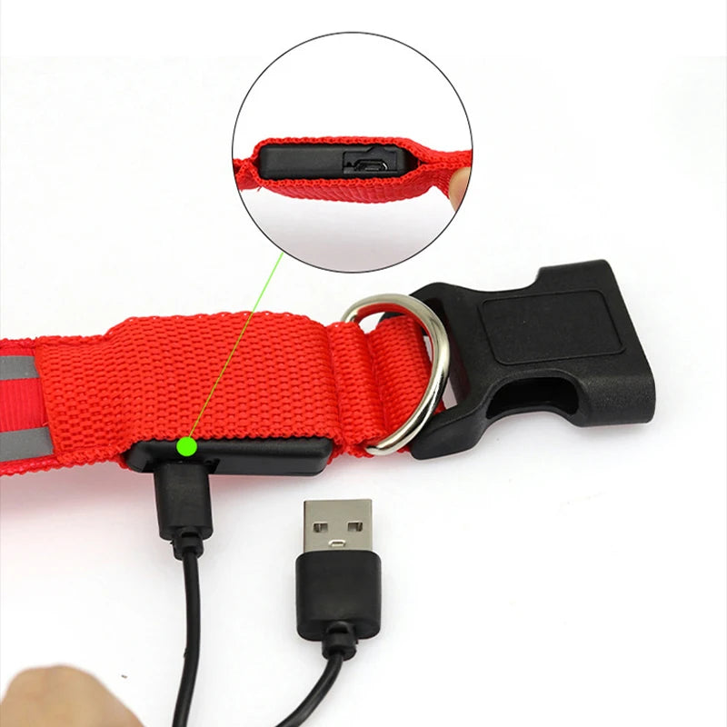 GlowSaf LED Pet Collar Ligh ™