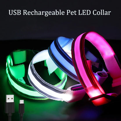 USB Rechargeable Pet LED Collars in green, white, and red with USB cable on a dark background