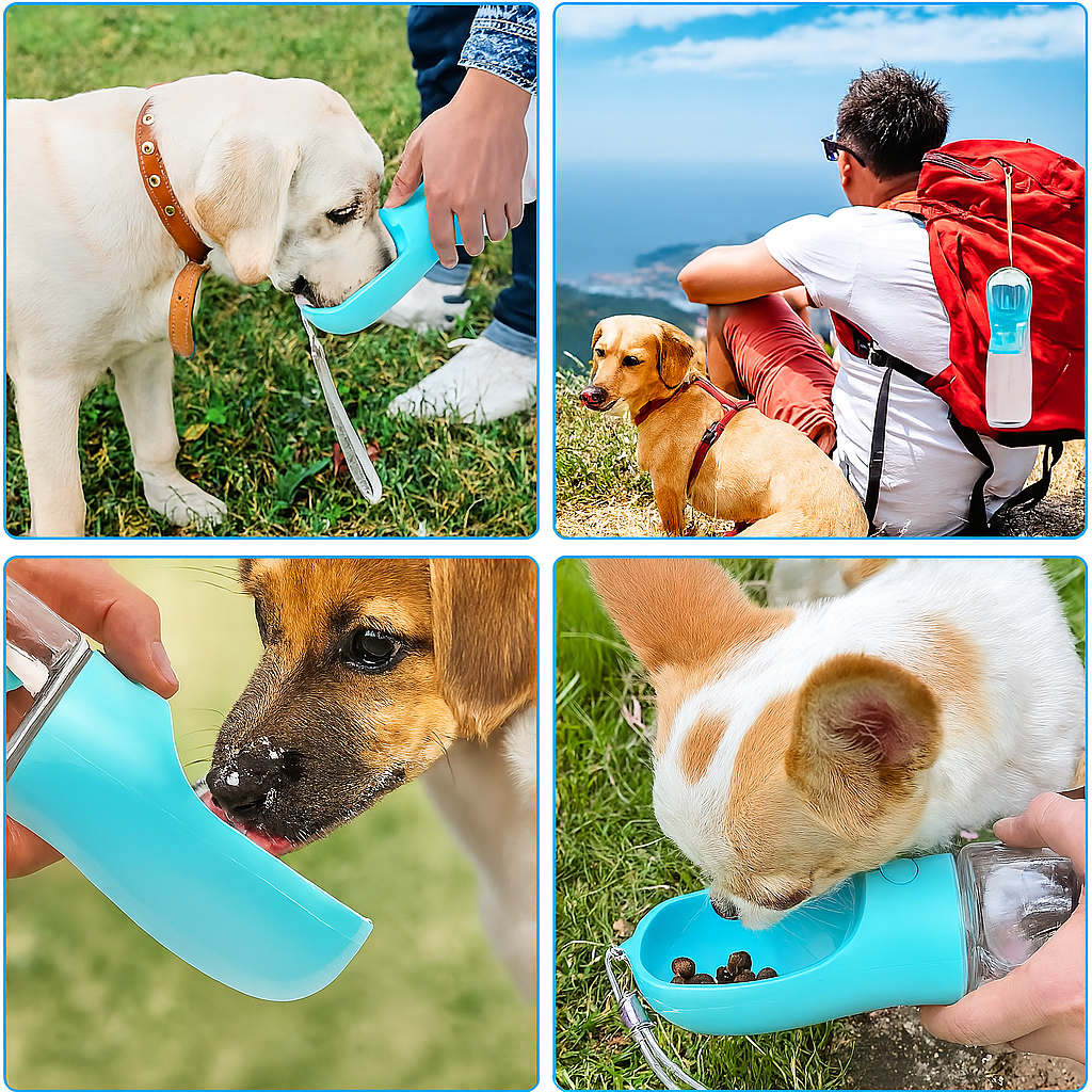 Adventure Pet Hydration Solution™