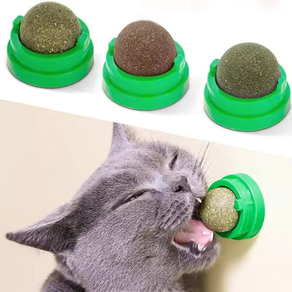 Catnip Lick Ball Toy for Cats