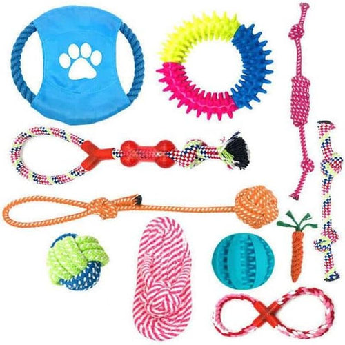 Assorted dog toys including a blue frisbee, colorful rope toys, and a ball on a white background.