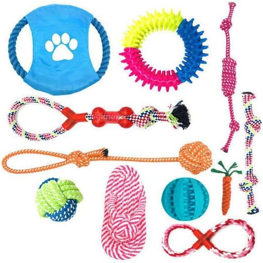 Assorted dog toys including a blue frisbee, colorful rope toys, and a ball on a white background.
